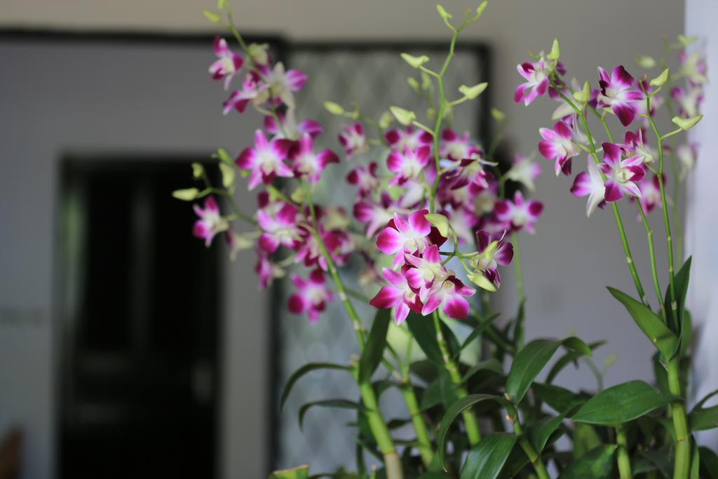 Prasats Boutique Hotel Phnom Penh Ngoại thất bức ảnh